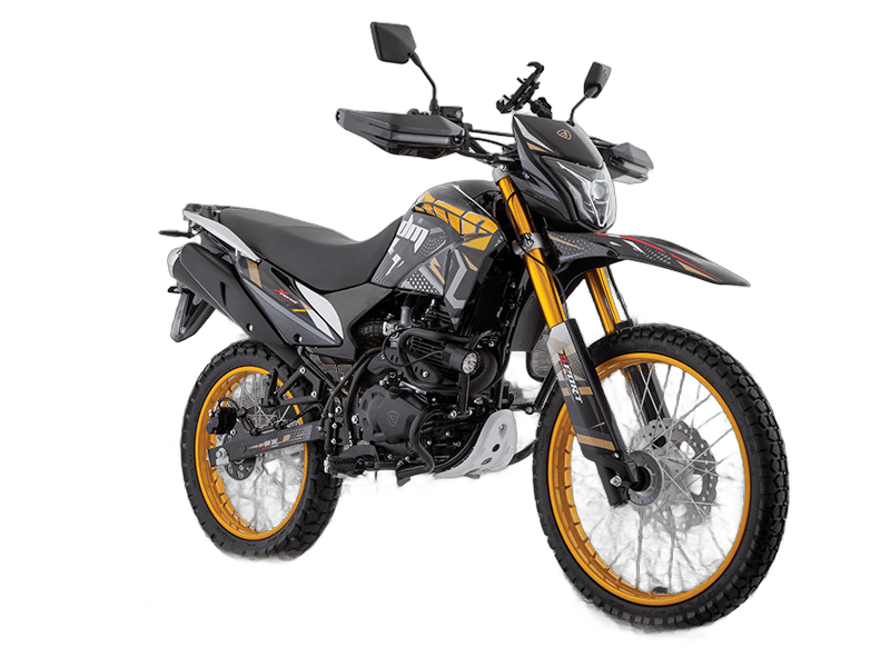 Italika DM300